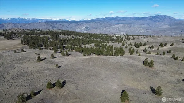 a view of a dry field with mountains in the background