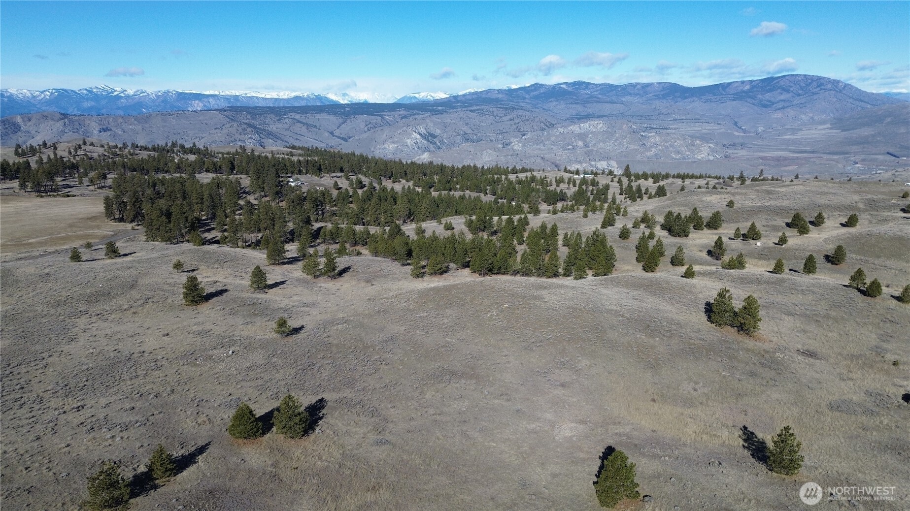 a view of a dry field with mountains in the background