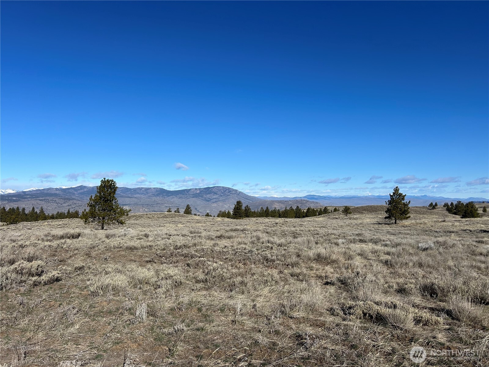 0 Columbia River Bluffs Road Waterville, WA 98858 - Photo 16 of 22