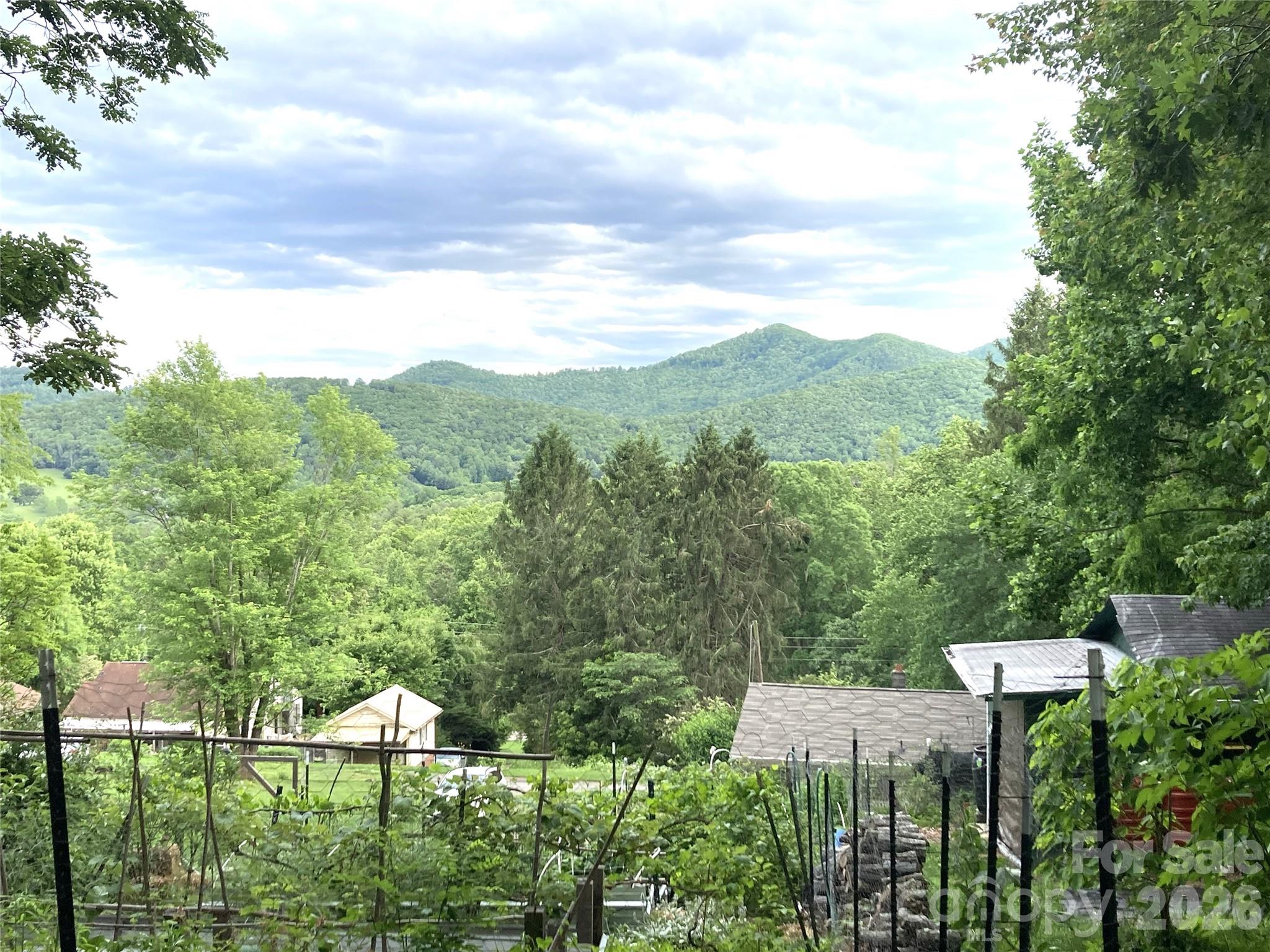 658 Enka Lake Road Candler, NC 28715 - Photo 41 of 42