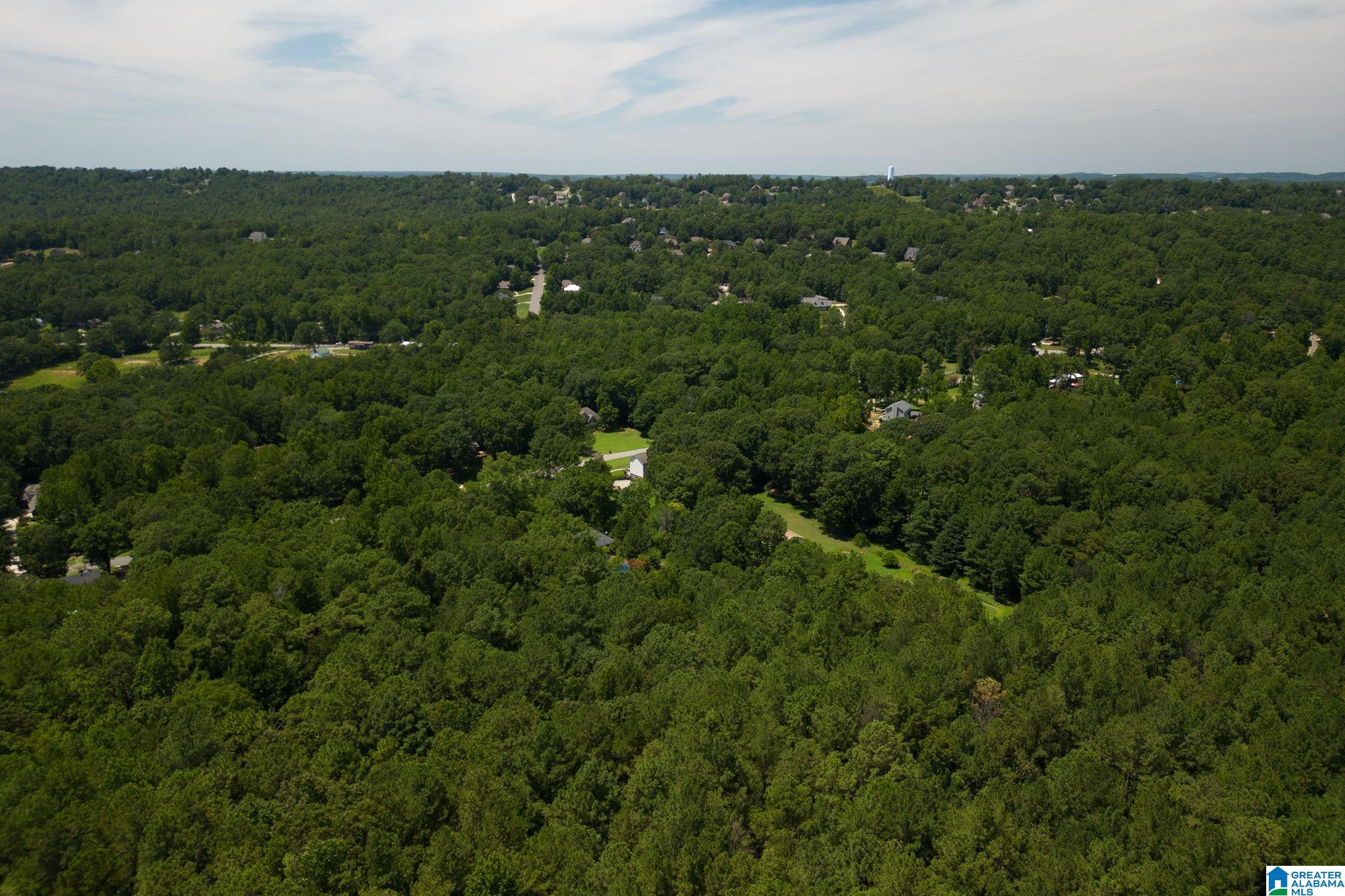 132 Chestnut Lane Helena, AL 35080 - Photo 54 of 59