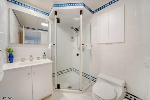 a bathroom with a toilet sink vanity and shower