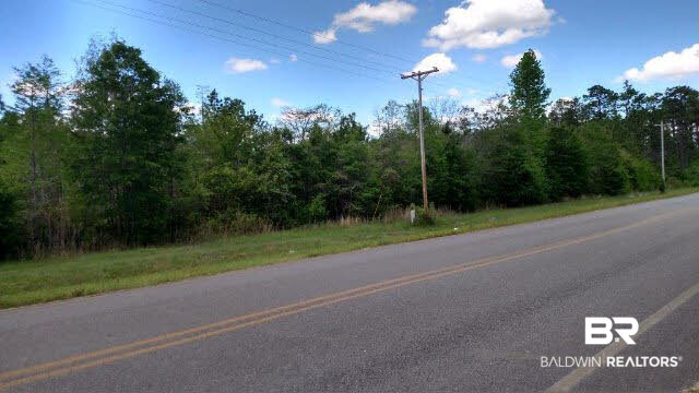 0 County Road 68 Loxley, AL 36551 - Photo 3 of 6