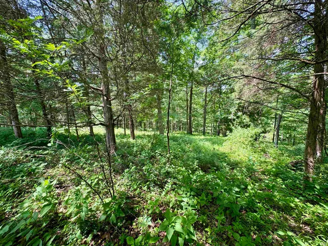 $365,000 | 5484 Highway 135, Salem, IN 47167