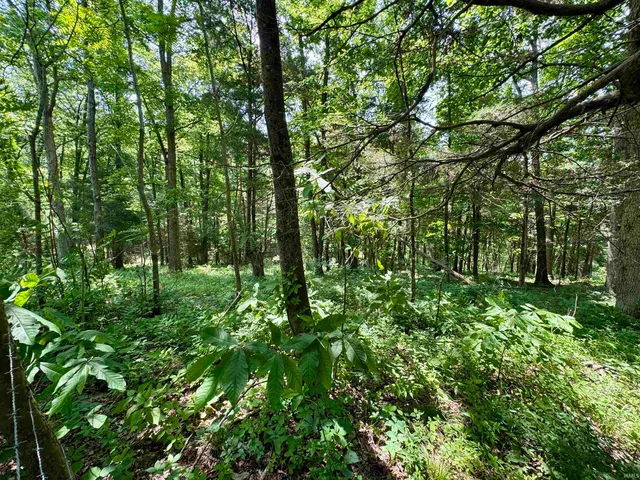 $365,000 | 5484 Highway 135, Salem, IN 47167