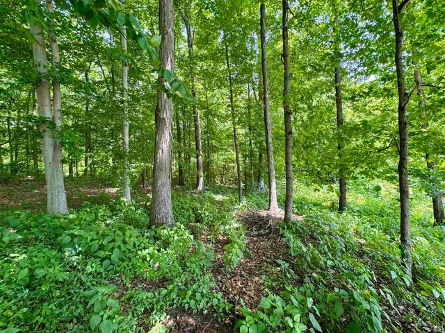 $365,000 | 5484 Highway 135, Salem, IN 47167