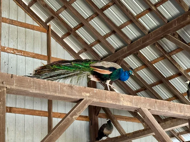 $365,000 | 5484 Highway 135, Salem, IN 47167