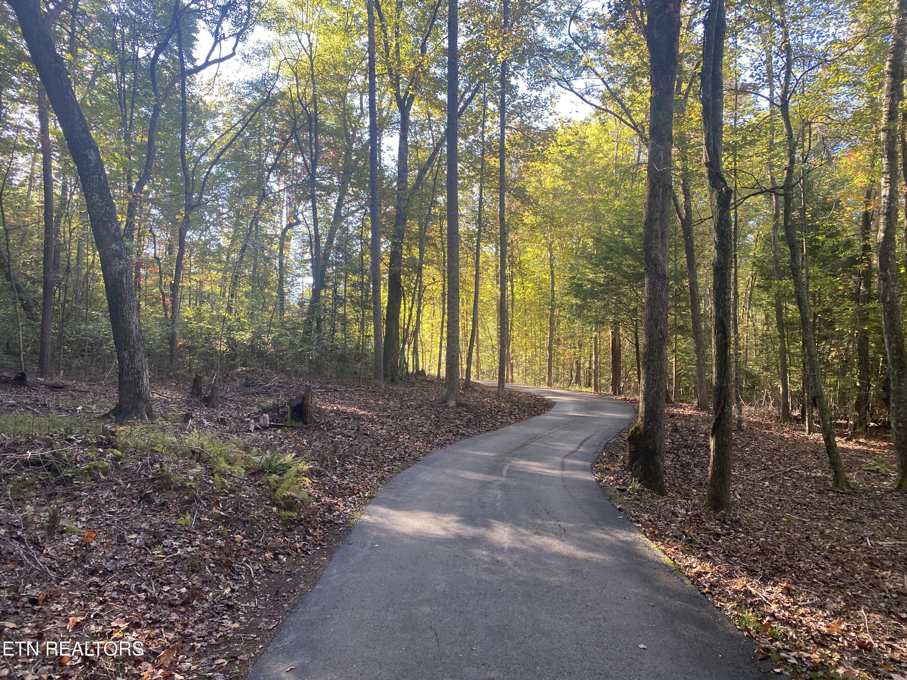 303 Cumberland Cove Road Monterey, TN 38574 - Photo 11 of 46 Almost There