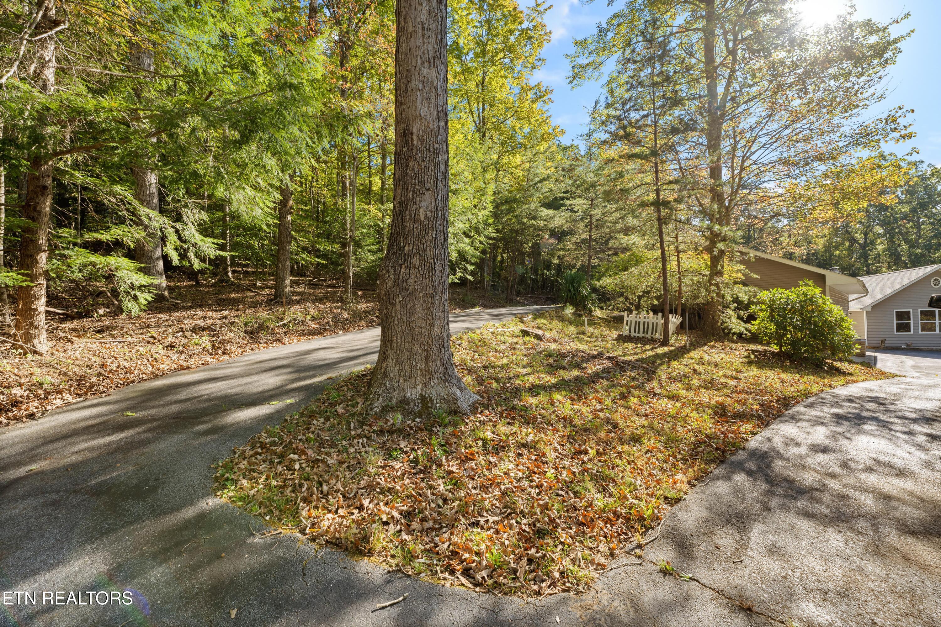 303 Cumberland Cove Road Monterey, TN 38574 - Photo 44 of 46 RV Parking