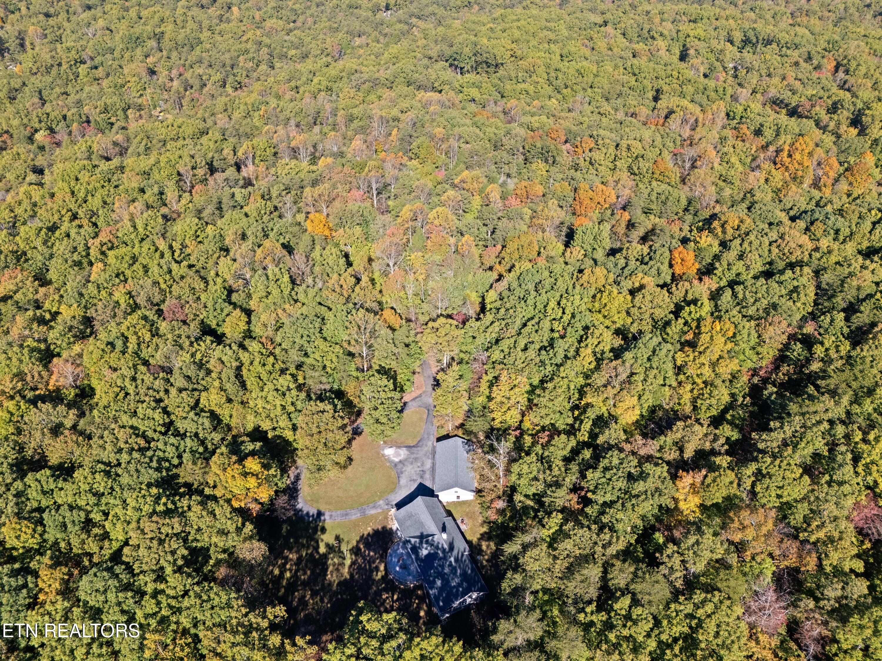 303 Cumberland Cove Road Monterey, TN 38574 - Photo 46 of 46 Surrounded completely by Mother Nature