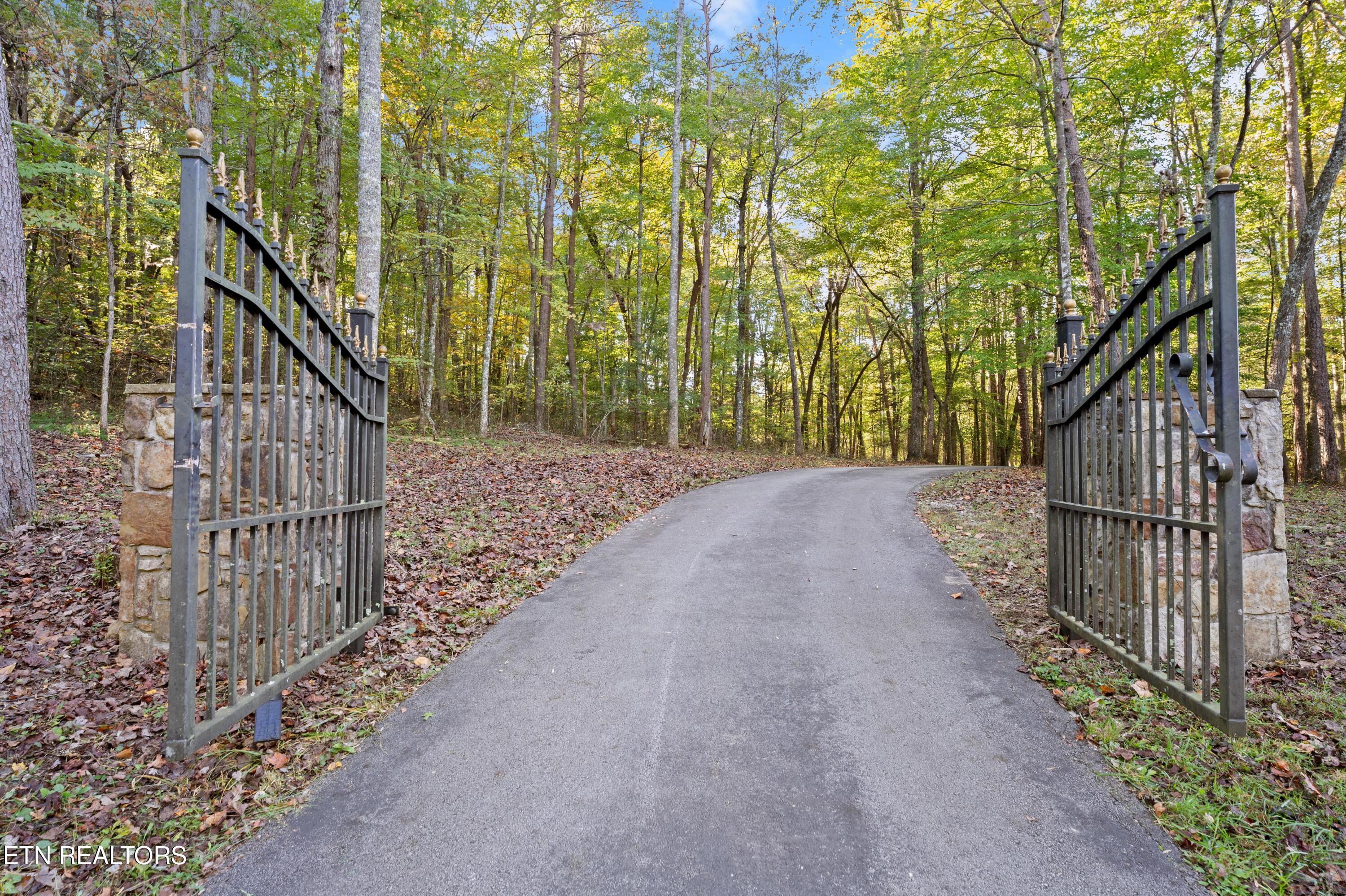 303 Cumberland Cove Road Monterey, TN 38574 - Photo 9 of 46 DSC03790