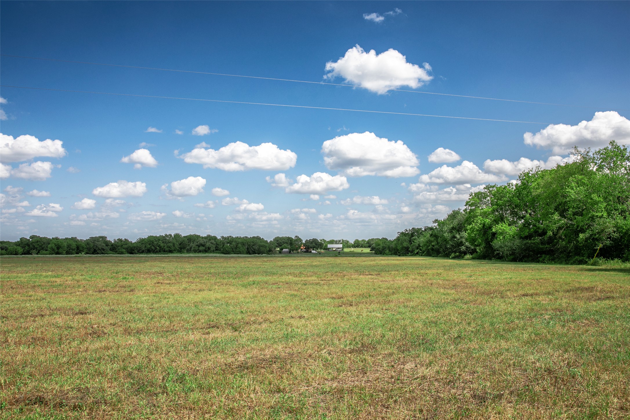 11105 Harmon School Road Burton, TX 77835 - Photo 1 of 12