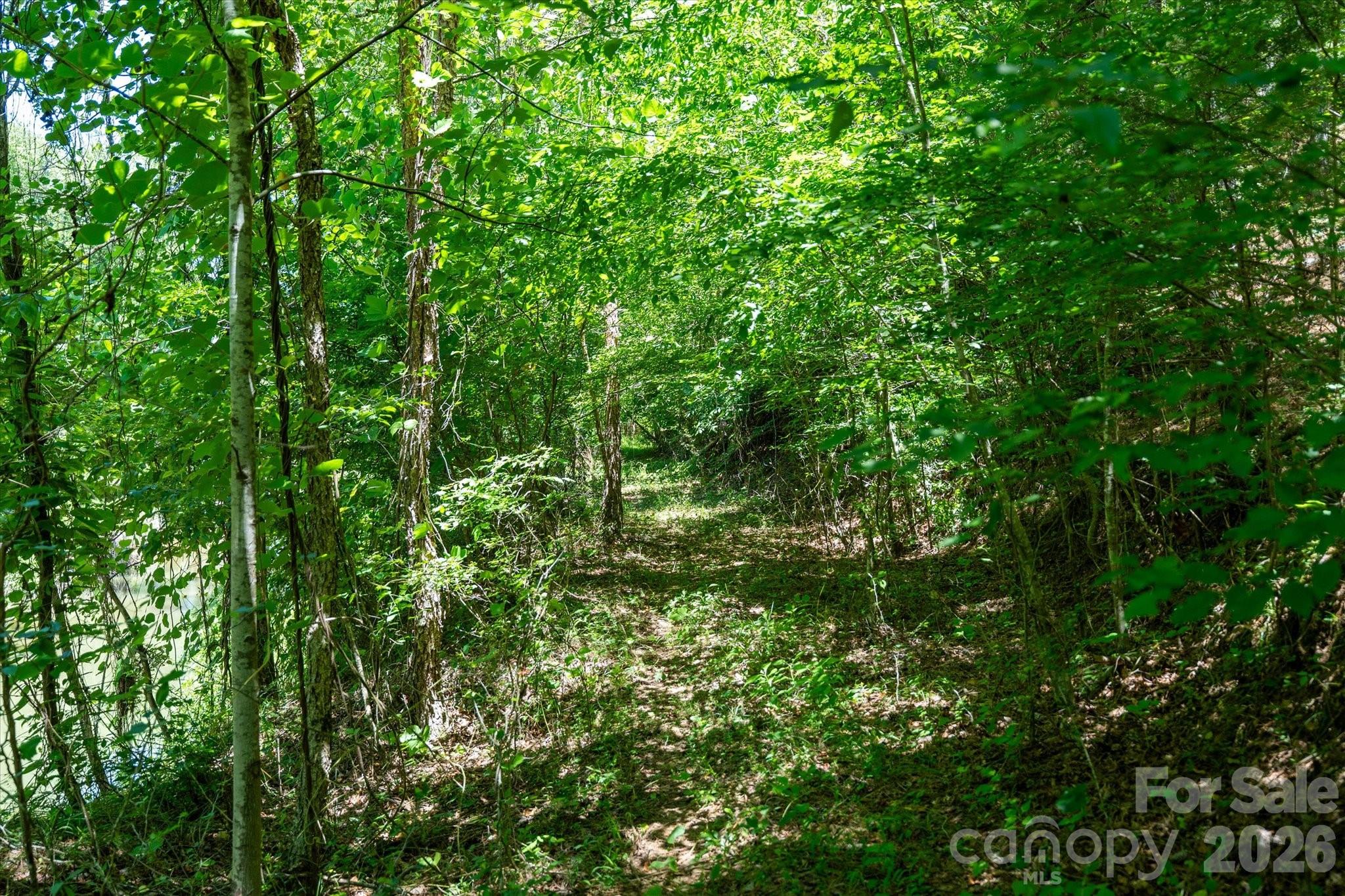 99999 Thompson Lake Road Rutherfordton, NC 28139 - Photo 13 of 24