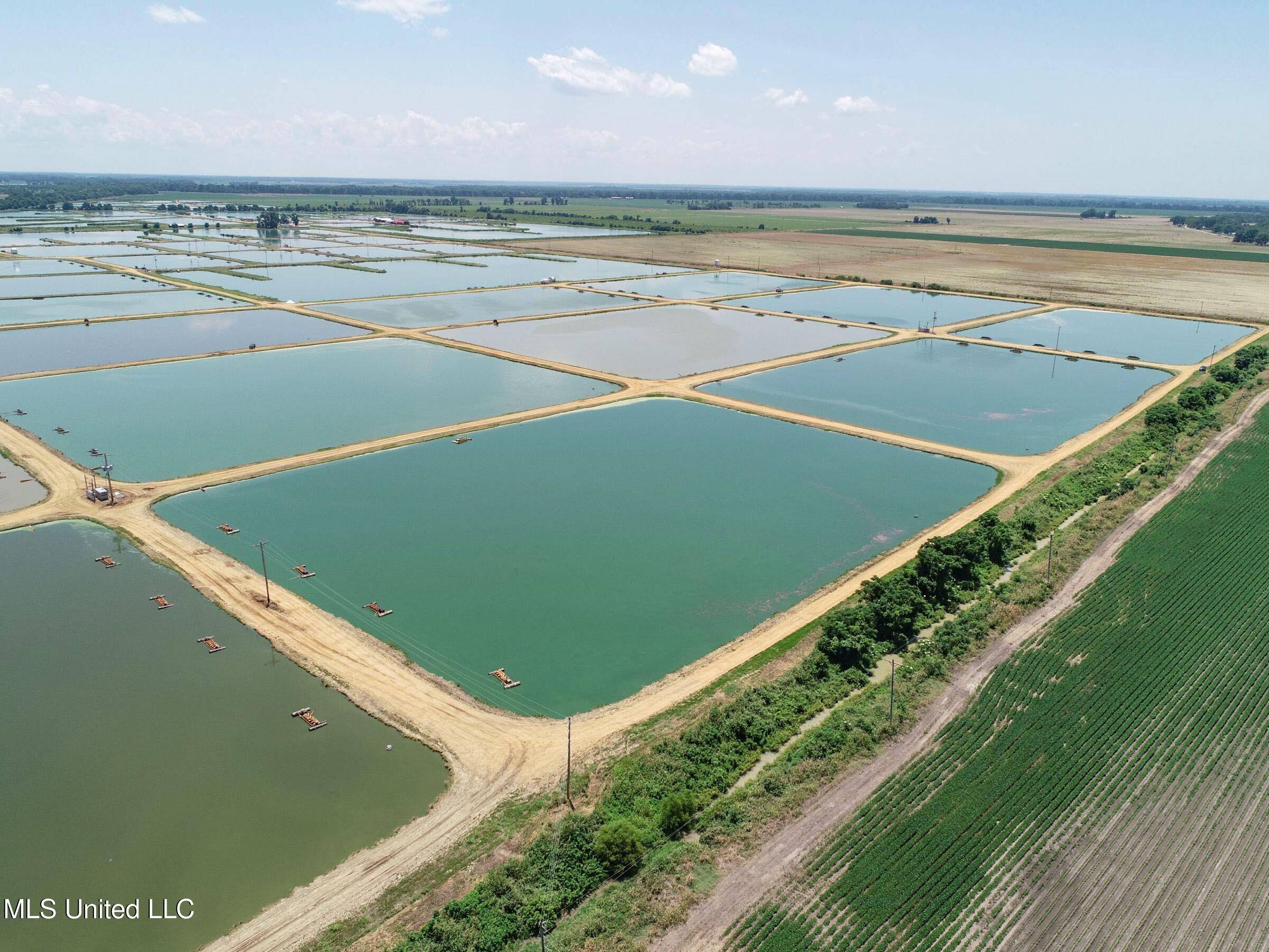 Fletcher Road Isola, MS 38754 - Photo 13 of 70 4bslybyo6