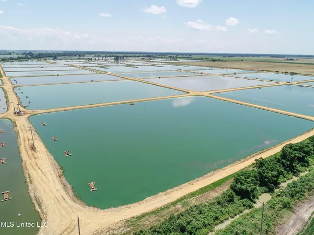 $2,180,800 | Fletcher Road, Isola, MS 38754