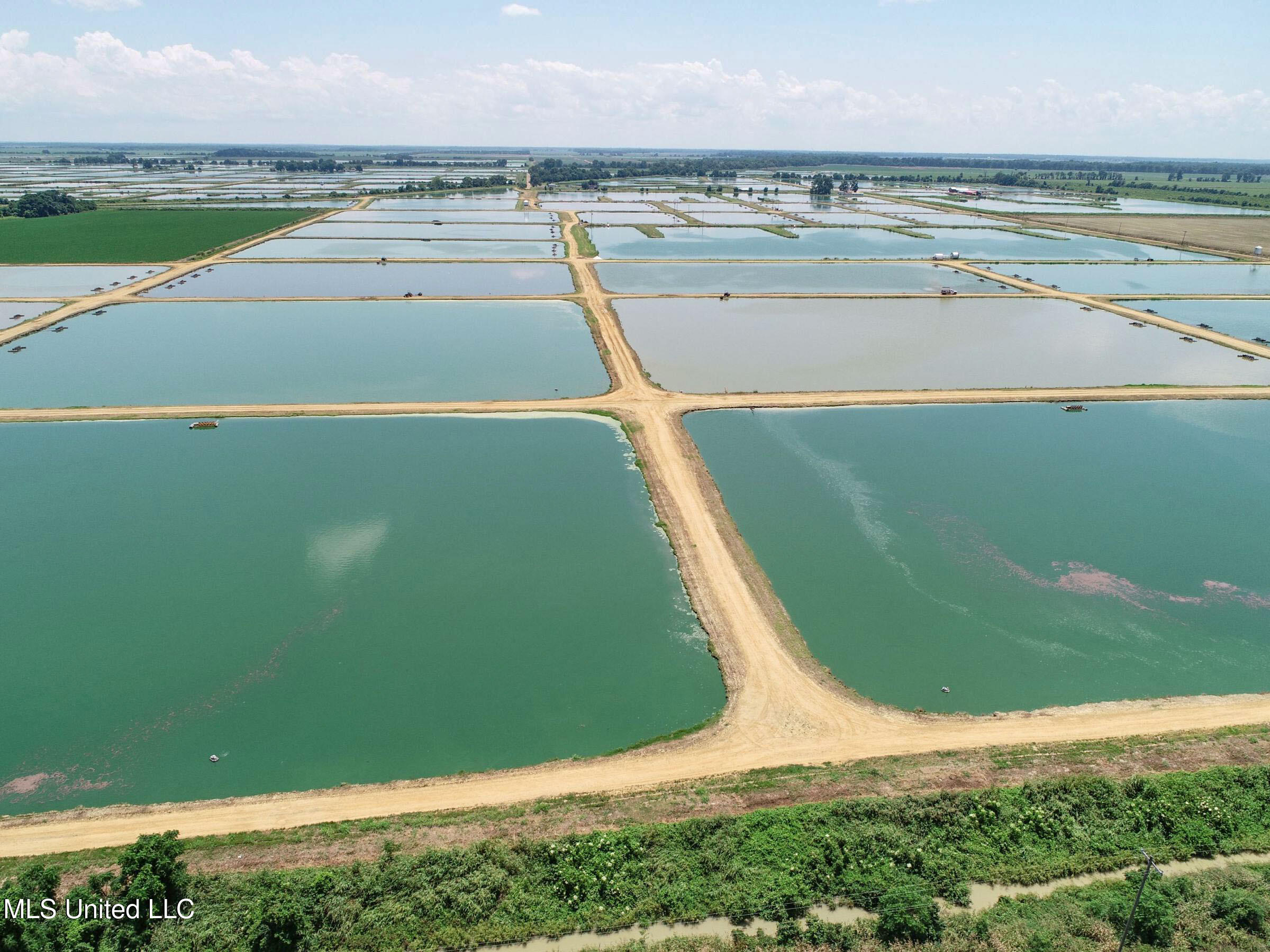 Fletcher Road Isola, MS 38754 - Photo 15 of 70 4bslybyo8