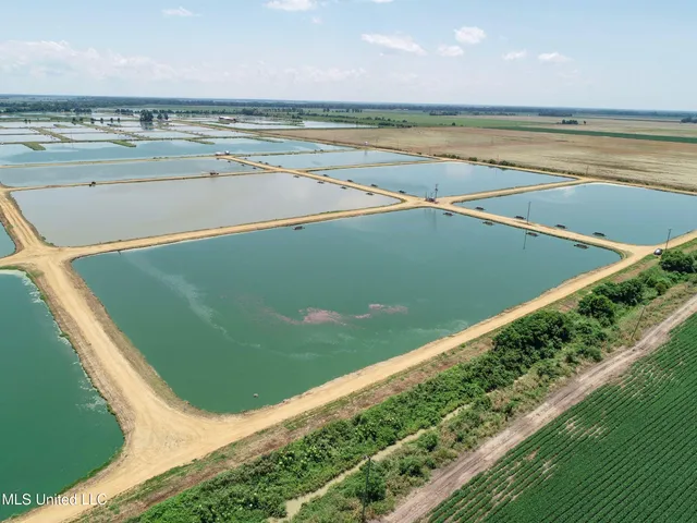 $2,180,800 | Fletcher Road, Isola, MS 38754