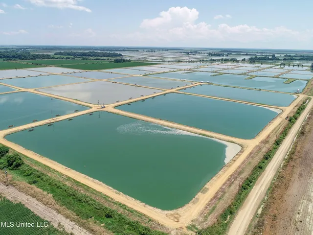 $2,180,800 | Fletcher Road, Isola, MS 38754