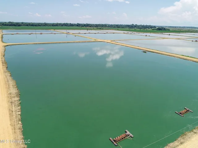 $2,180,800 | Fletcher Road, Isola, MS 38754