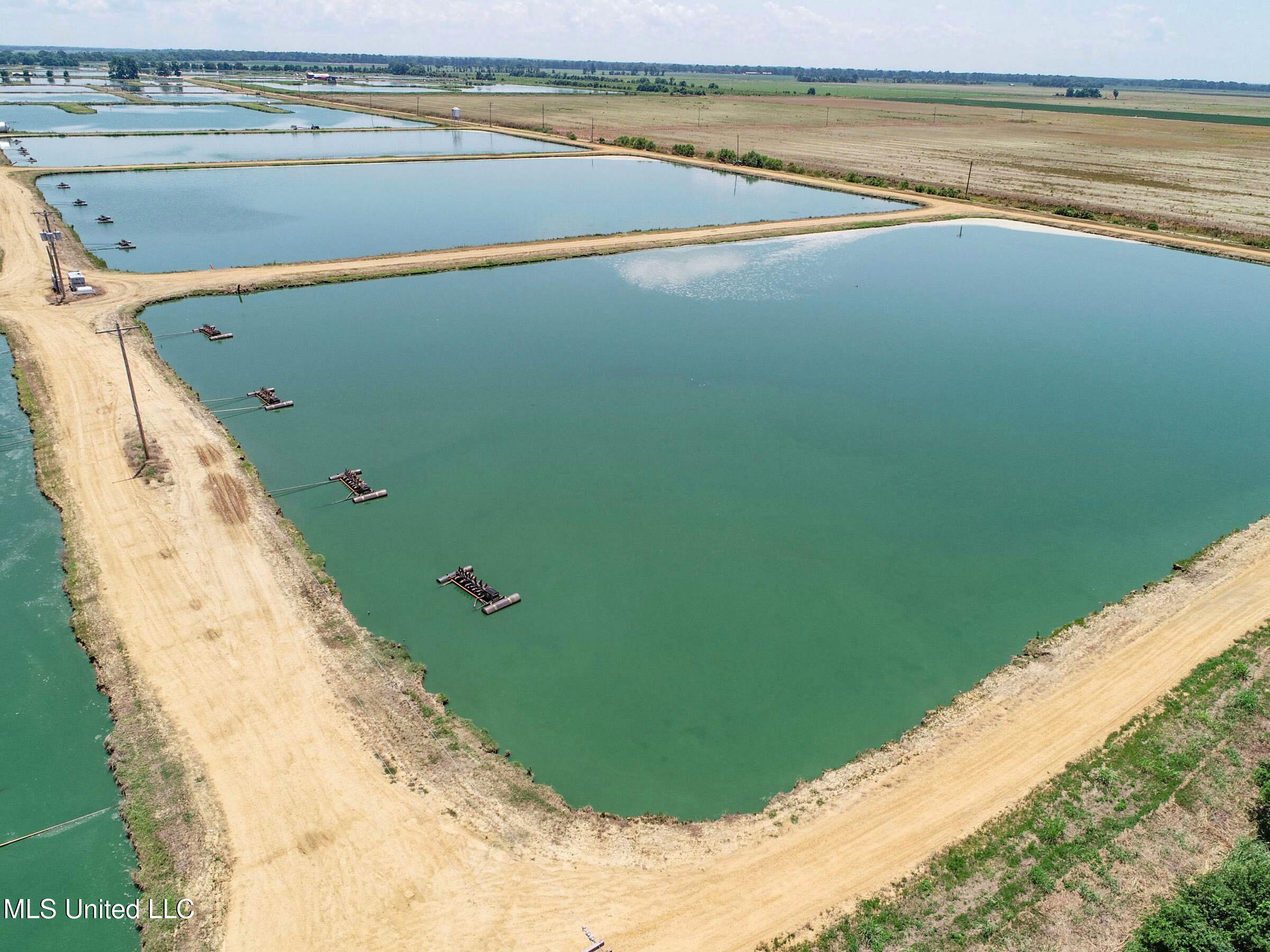 Fletcher Road Isola, MS 38754 - Photo 19 of 70 4bslybyo12