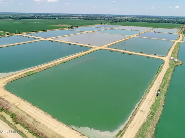 $2,180,800 | Fletcher Road, Isola, MS 38754