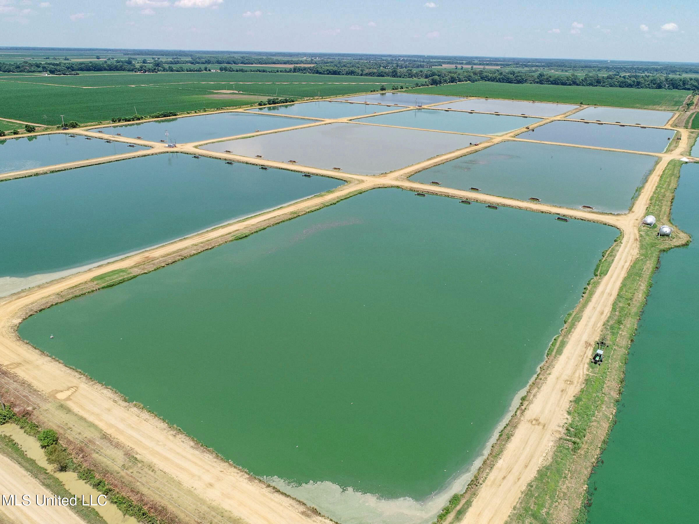 Fletcher Road Isola, MS 38754 - Photo 20 of 70 4bslybyo13