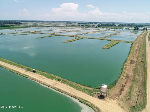 $2,180,800 | Fletcher Road, Isola, MS 38754