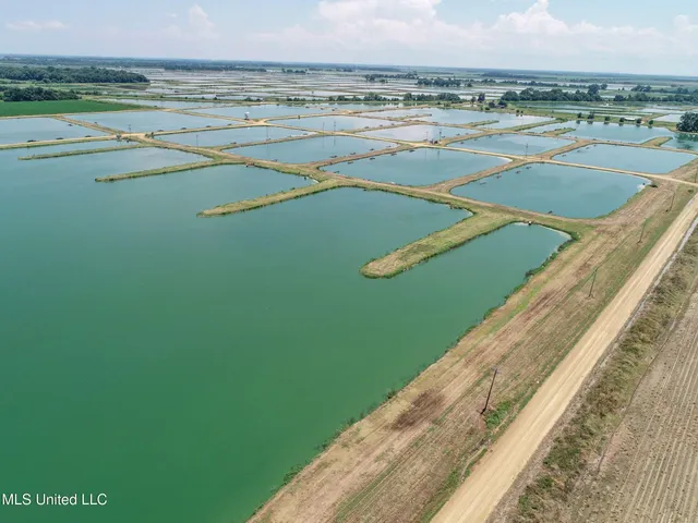 $2,180,800 | Fletcher Road, Isola, MS 38754