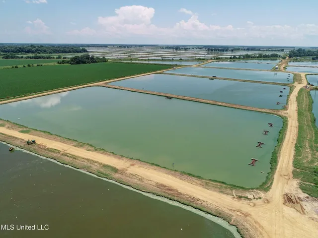 $2,180,800 | Fletcher Road, Isola, MS 38754