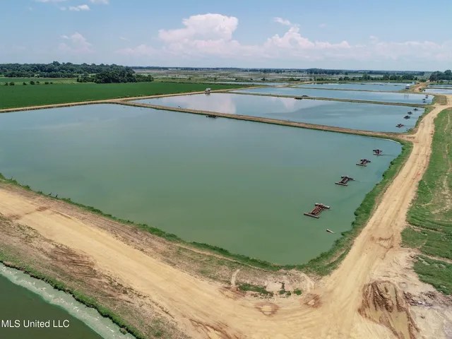 $2,180,800 | Fletcher Road, Isola, MS 38754