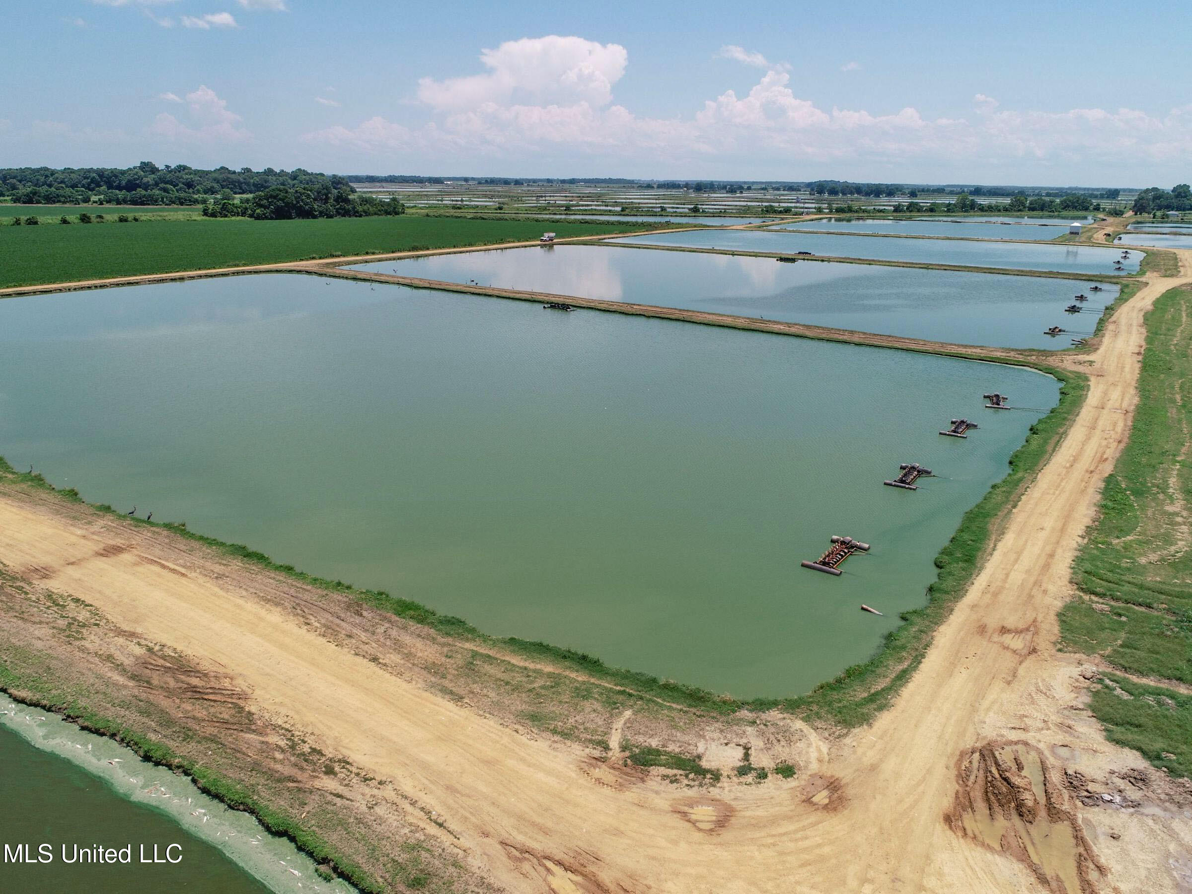 Fletcher Road Isola, MS 38754 - Photo 24 of 70 4bslybyo17