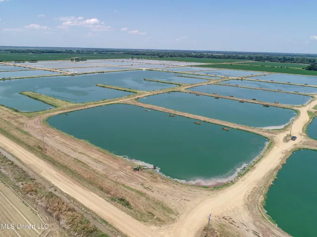 $2,180,800 | Fletcher Road, Isola, MS 38754