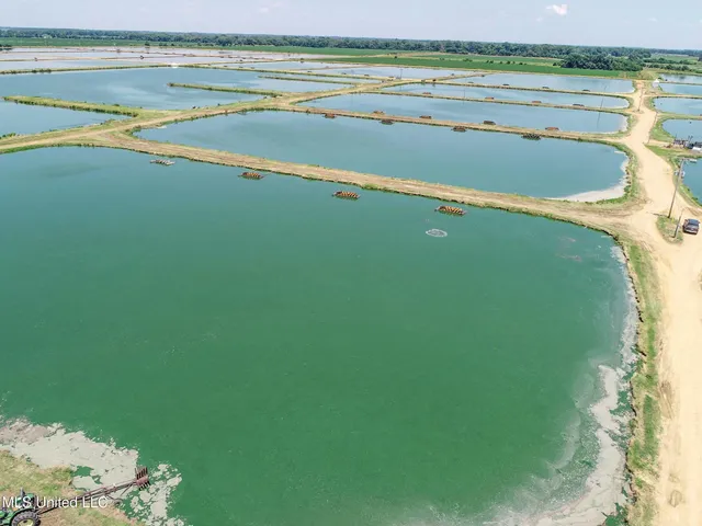 $2,180,800 | Fletcher Road, Isola, MS 38754