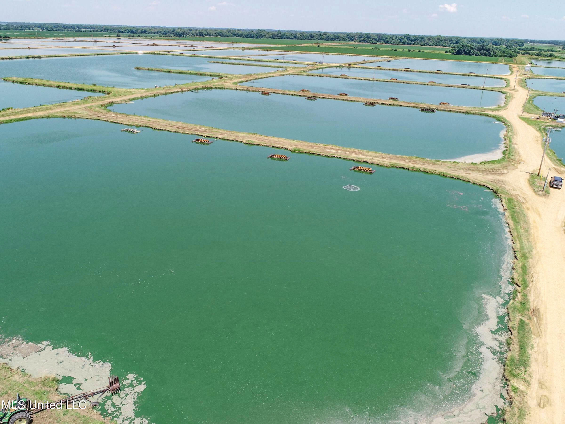 Fletcher Road Isola, MS 38754 - Photo 27 of 70 4bslybyo20