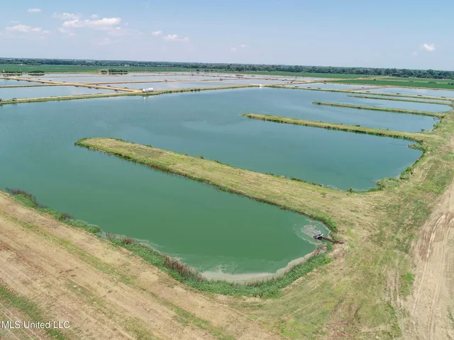 $2,180,800 | Fletcher Road, Isola, MS 38754