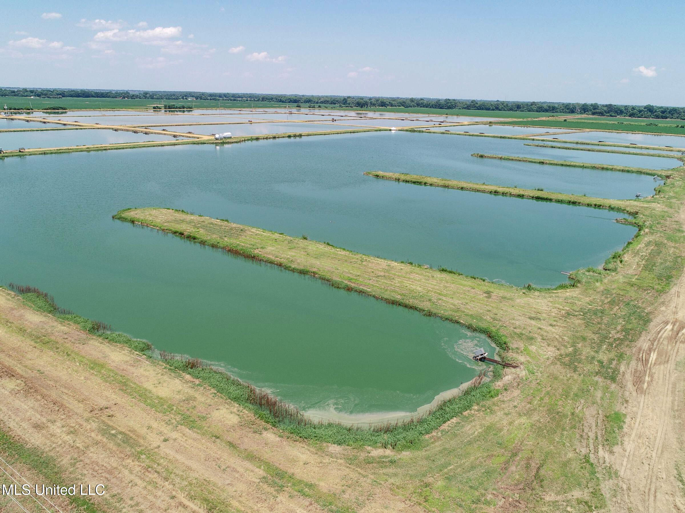 Fletcher Road Isola, MS 38754 - Photo 28 of 70 4bslybyo21