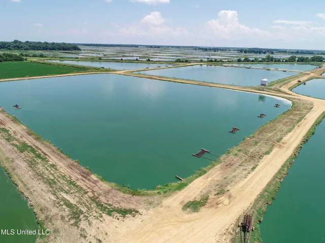 $2,180,800 | Fletcher Road, Isola, MS 38754