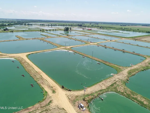 $2,180,800 | Fletcher Road, Isola, MS 38754