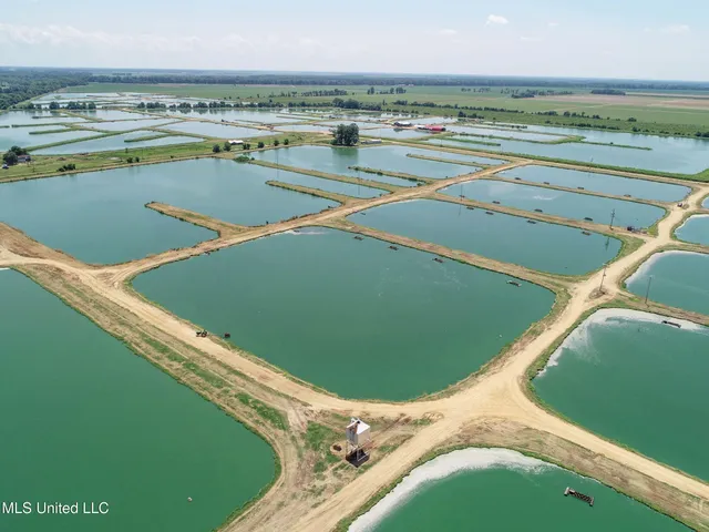 $2,180,800 | Fletcher Road, Isola, MS 38754