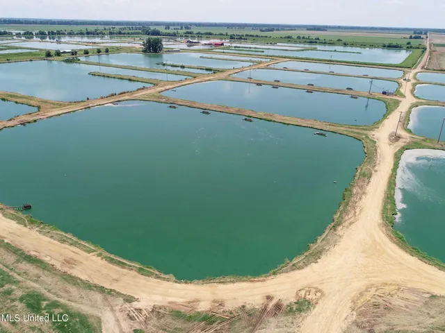 $2,180,800 | Fletcher Road, Isola, MS 38754