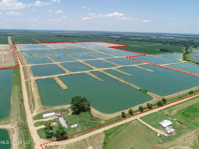 $2,180,800 | Fletcher Road, Isola, MS 38754