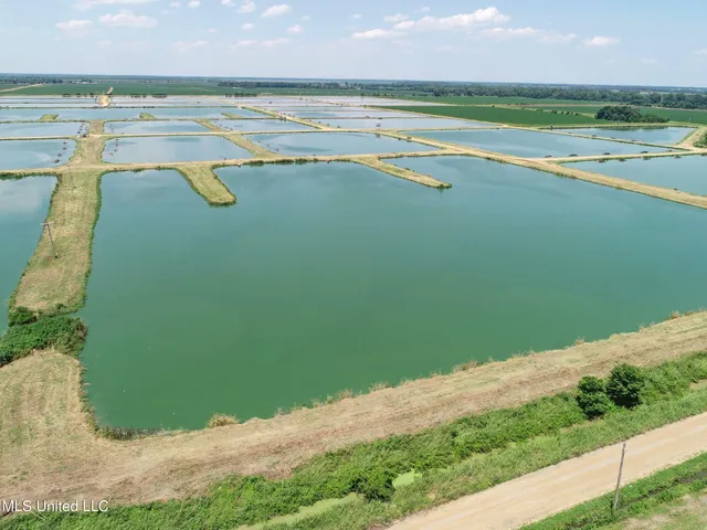 $2,180,800 | Fletcher Road, Isola, MS 38754