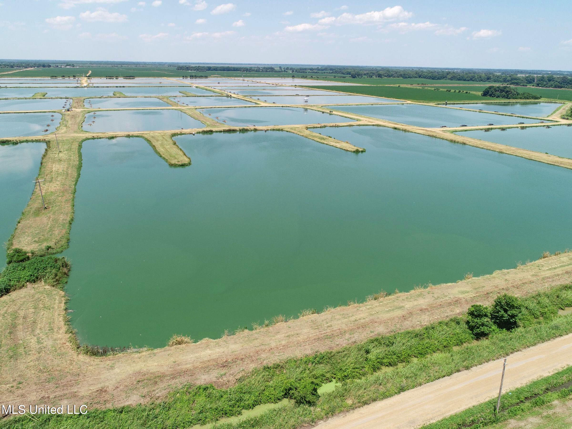 Fletcher Road Isola, MS 38754 - Photo 37 of 70 4bslybyo30