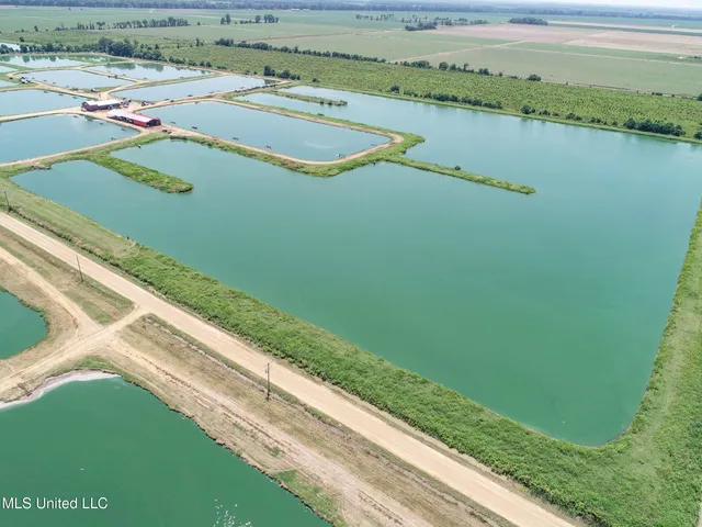 $2,180,800 | Fletcher Road, Isola, MS 38754