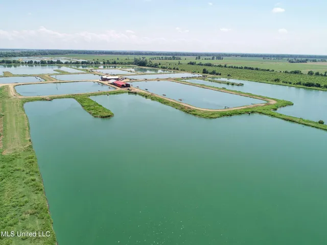 $2,180,800 | Fletcher Road, Isola, MS 38754
