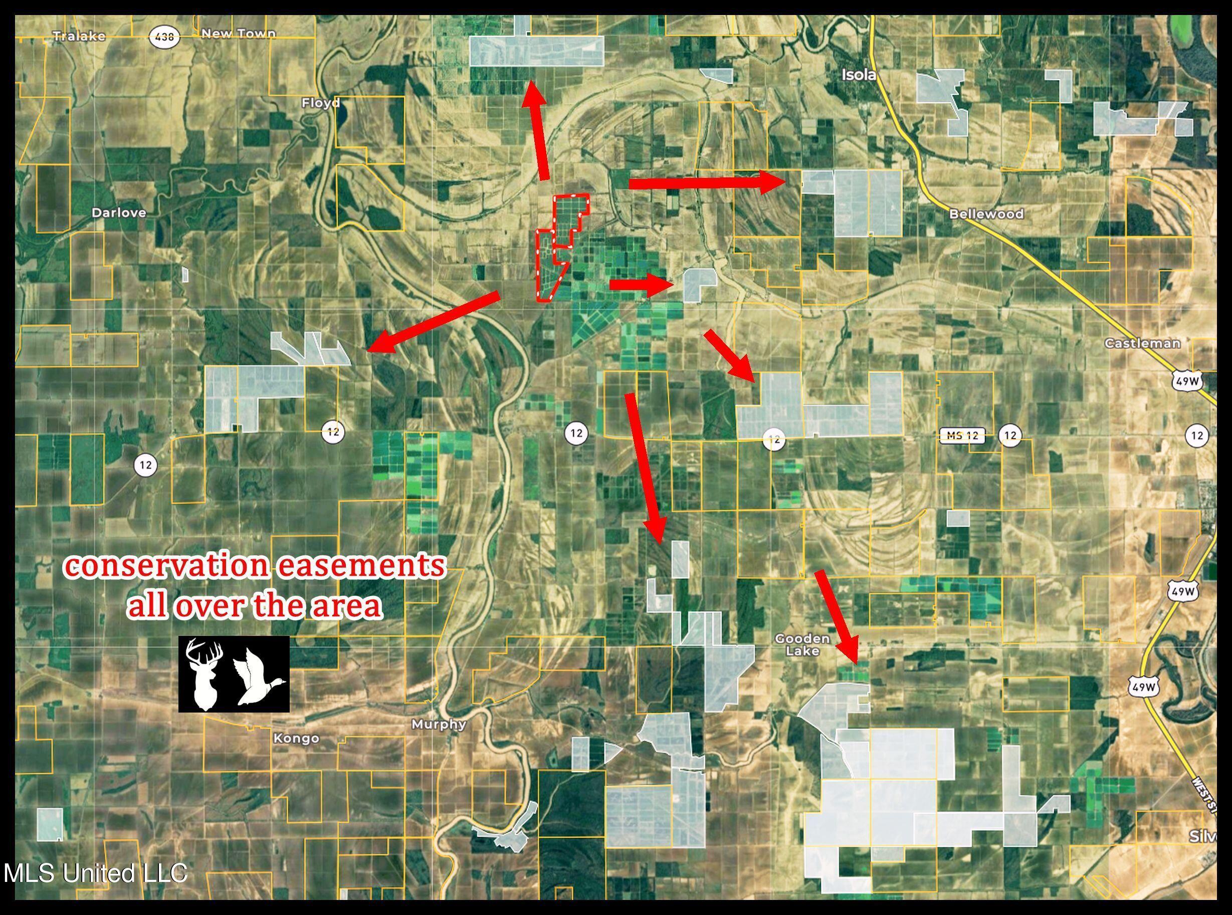 Fletcher Road Isola, MS 38754 - Photo 4 of 70 1bslybyo1