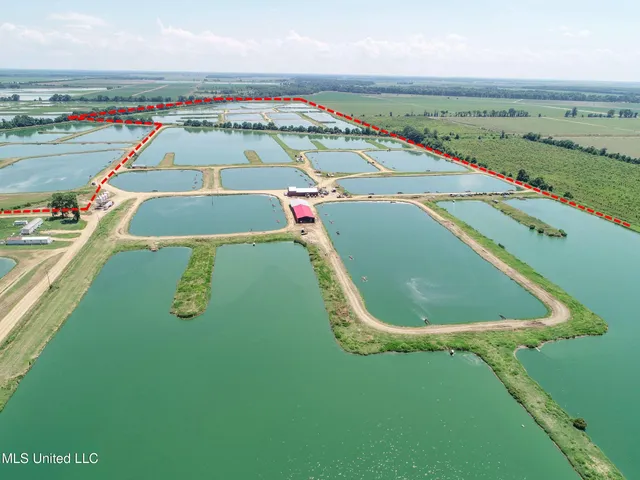 $2,180,800 | Fletcher Road, Isola, MS 38754