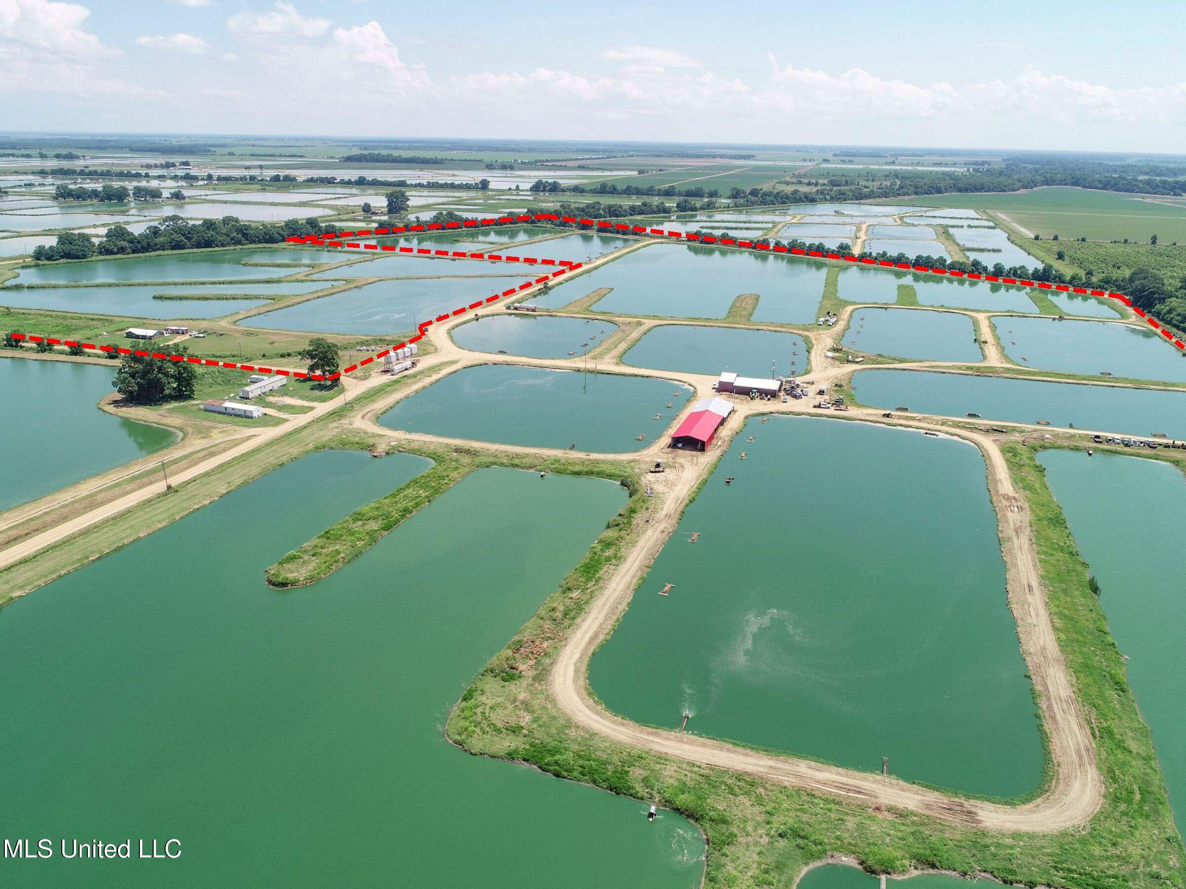 Fletcher Road Isola, MS 38754 - Photo 42 of 70 4bslybyo35b