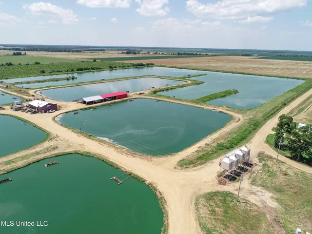 $2,180,800 | Fletcher Road, Isola, MS 38754