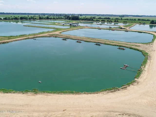 $2,180,800 | Fletcher Road, Isola, MS 38754